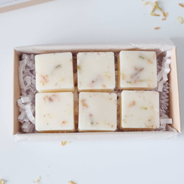 Breeze Botanical Wax Melts | Rhubarb and Fresh Mint