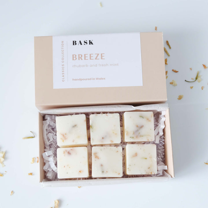 Breeze Botanical Wax Melts | Rhubarb and Fresh Mint